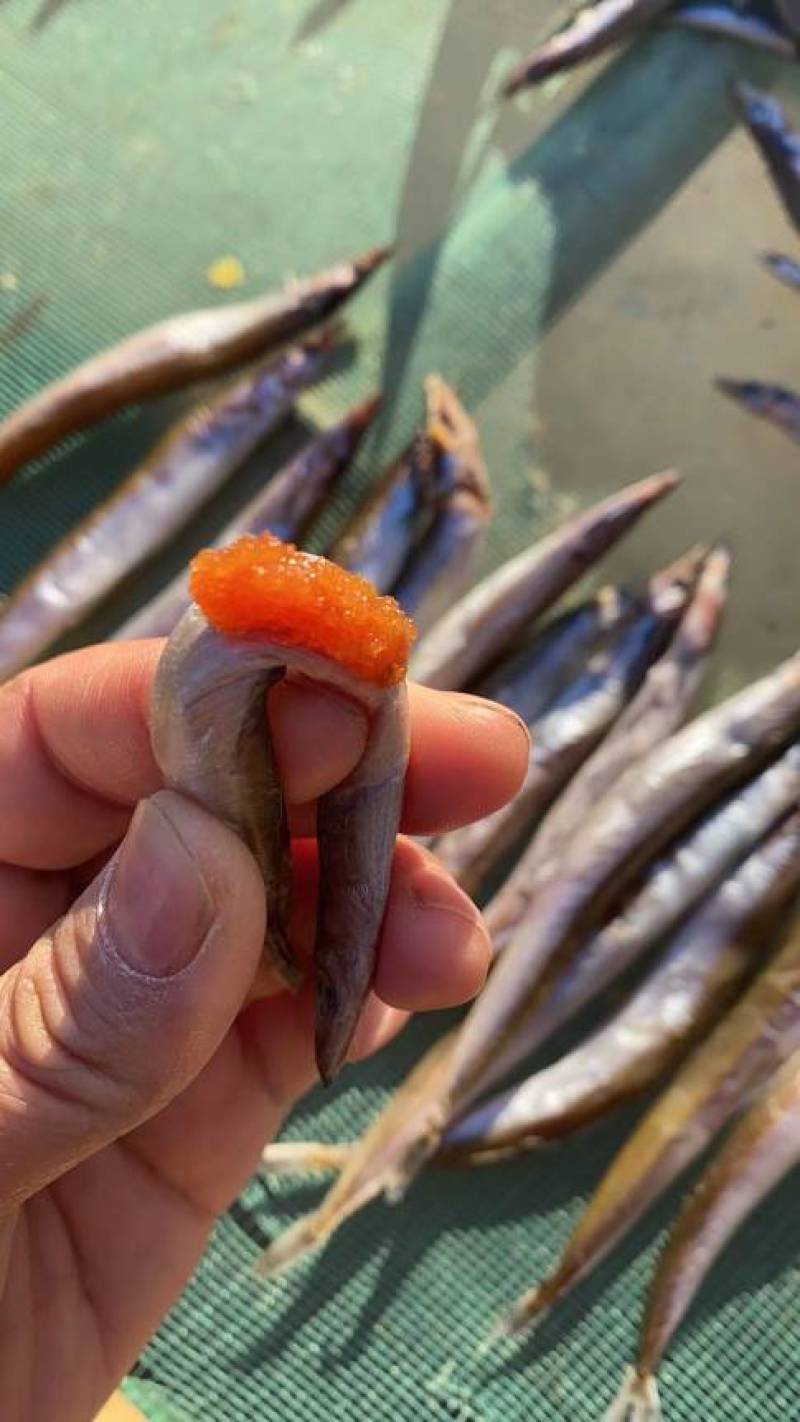 东港银鱼干，沙里钻鱼干，干度好全是籽，质量嘎嘎的