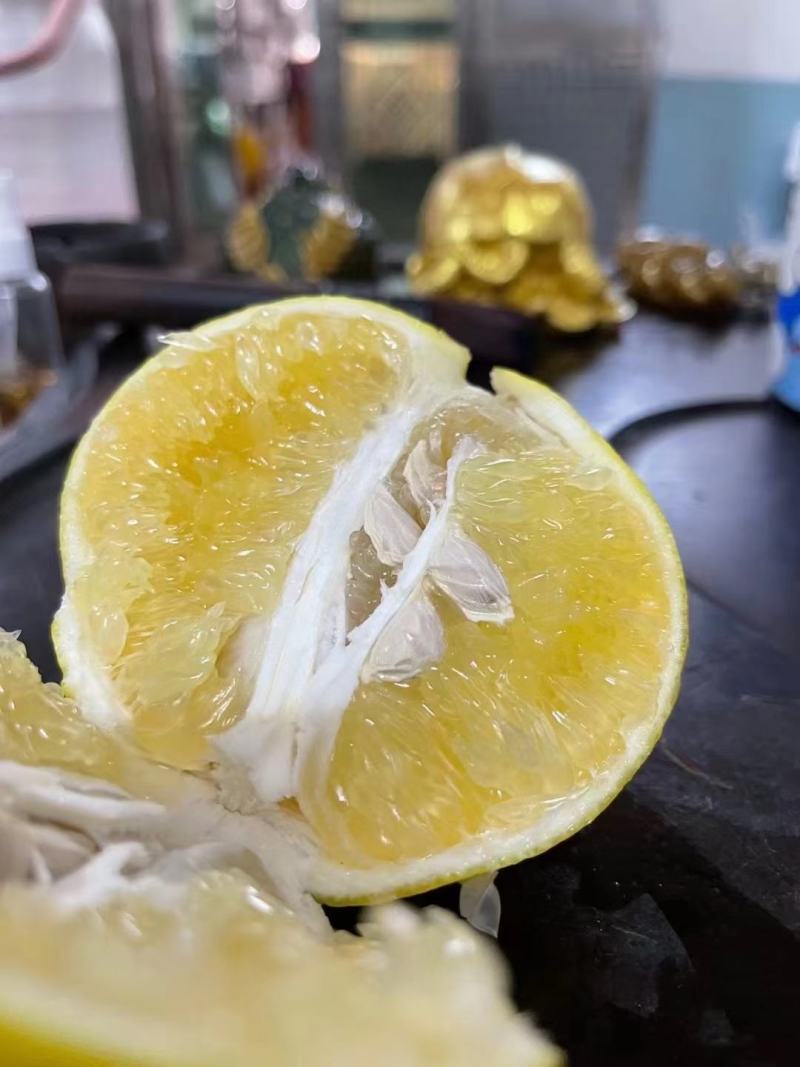 福建爆汁葡萄柚纯甜西柚黄金葡萄柚大量批发