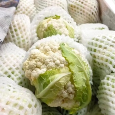 有机花菜质量保证货源充足全国发货规格齐全