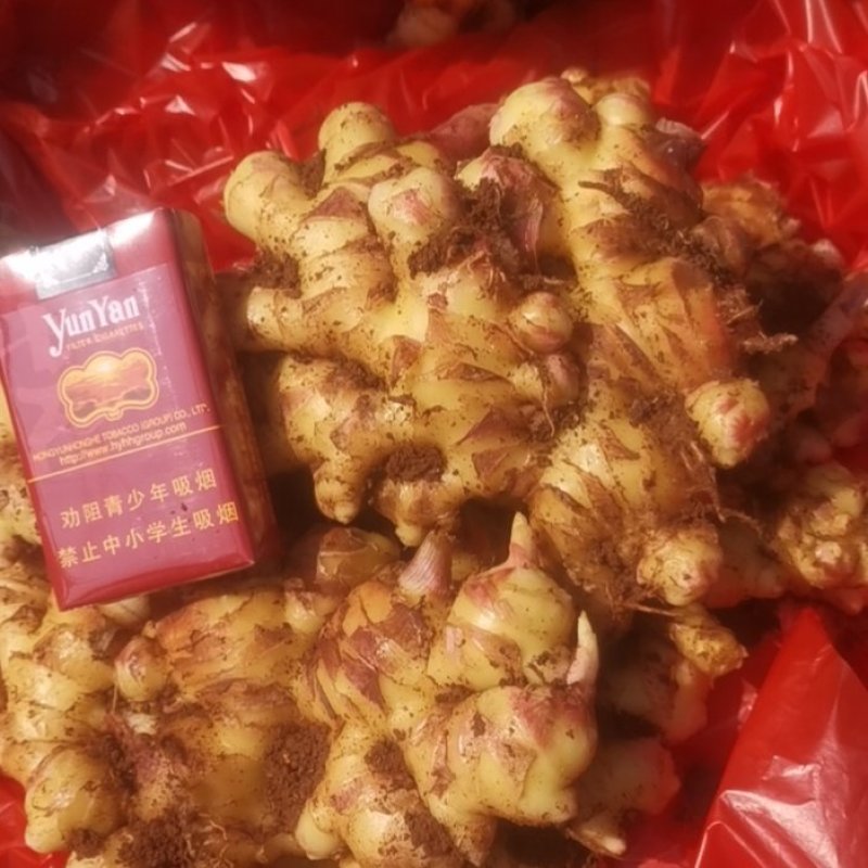 小黄姜，二黄姜，红土种植