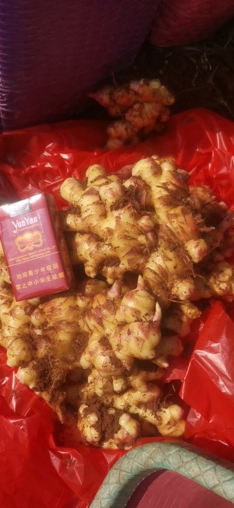 小黄姜，二黄姜，红土种植