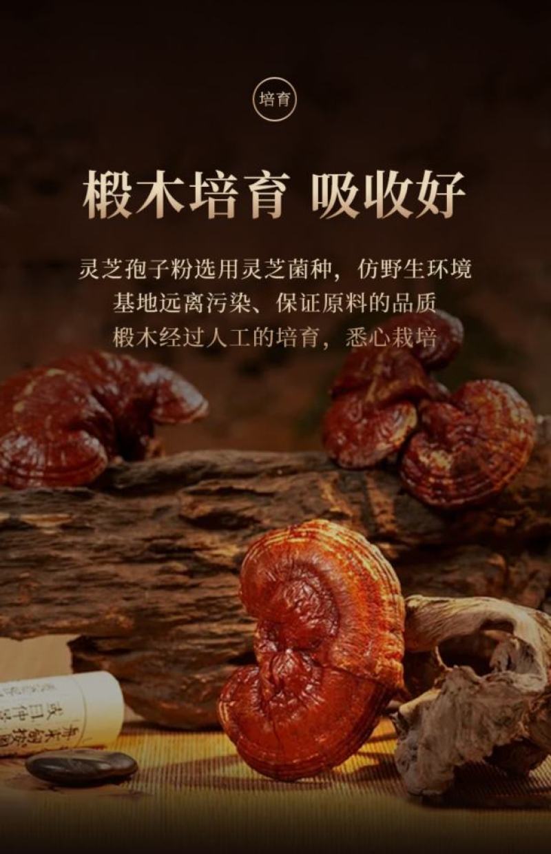 灵芝孢子粉长白山灵芝孢子粉新粉现货直邮