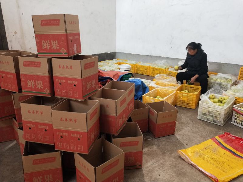 瑞雪苹果陕西富平瑞雪苹果整箱精品苹果包邮