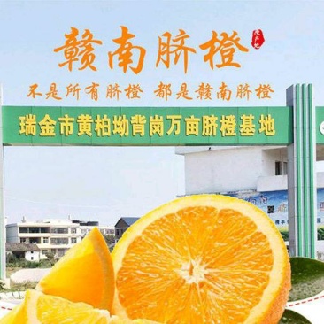 赣南脐橙产地直发、一件代发、现摘现发、24小时在线接单…
