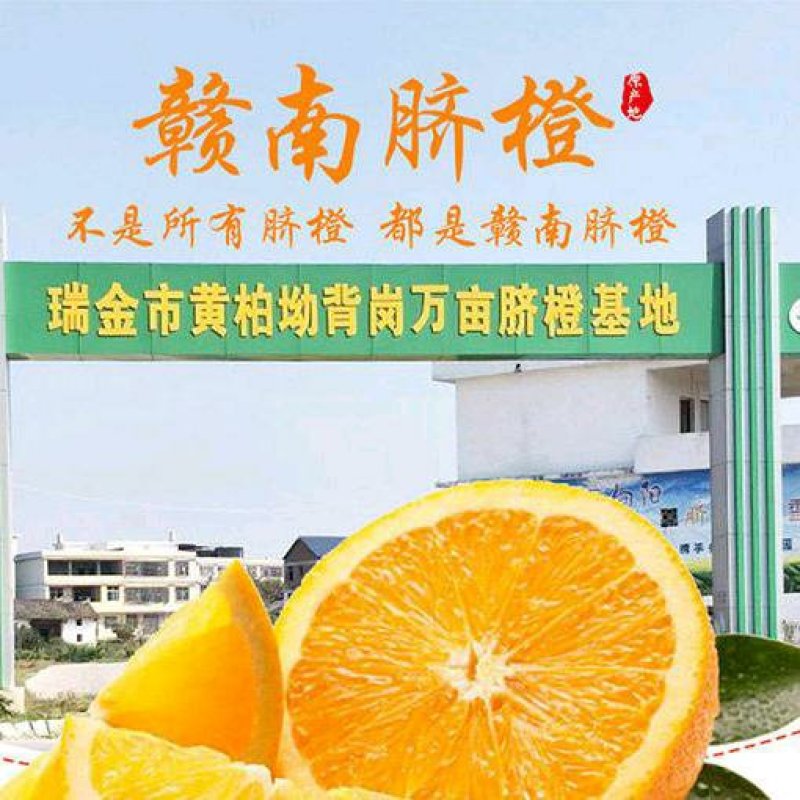 赣南脐橙产地直发、一件代发、现摘现发、24小时在线接单…