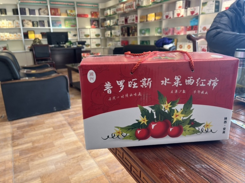 【整箱批发】普罗旺斯西红柿对接北上广一线城市客户欢迎咨询