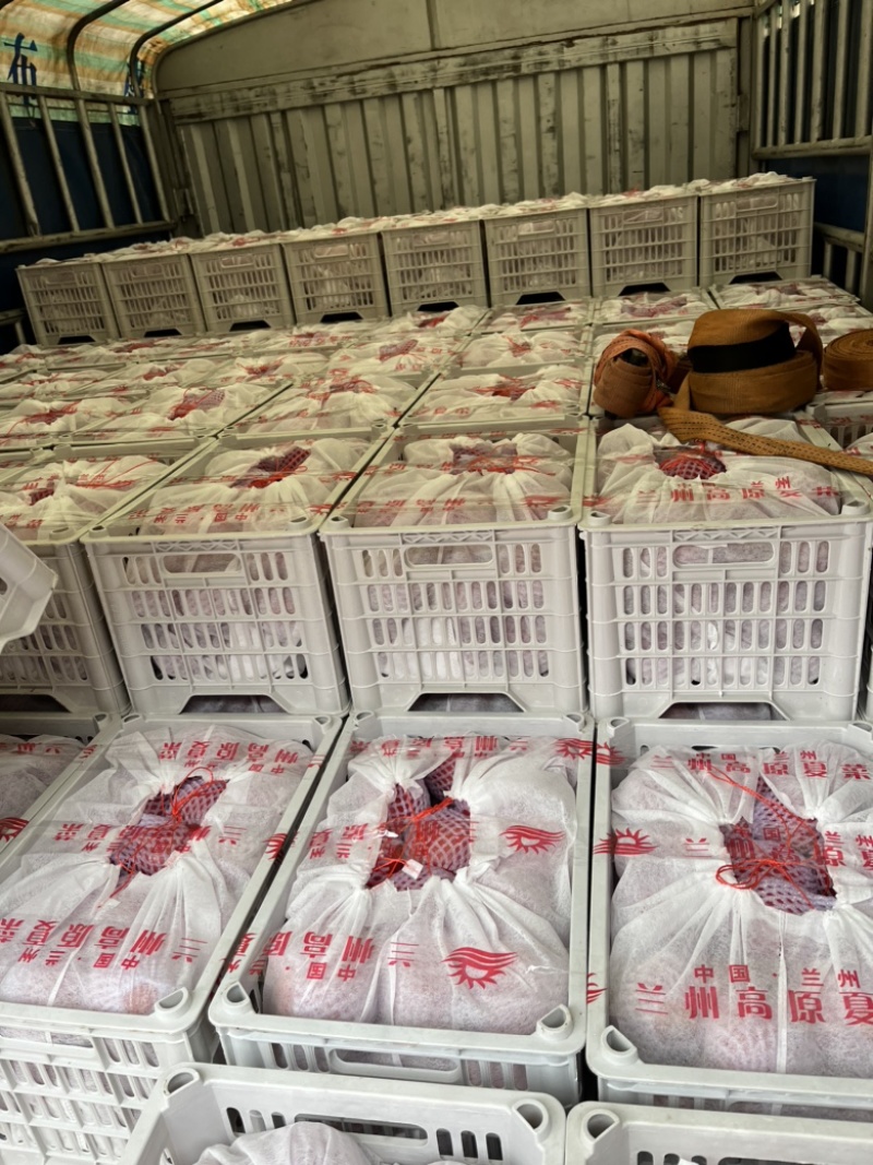 【精品】普罗旺斯水果西红柿新鲜现摘产地直发货源充足