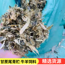 供应牛羊饲料青贮甘蔗尾全国可发货量大从优