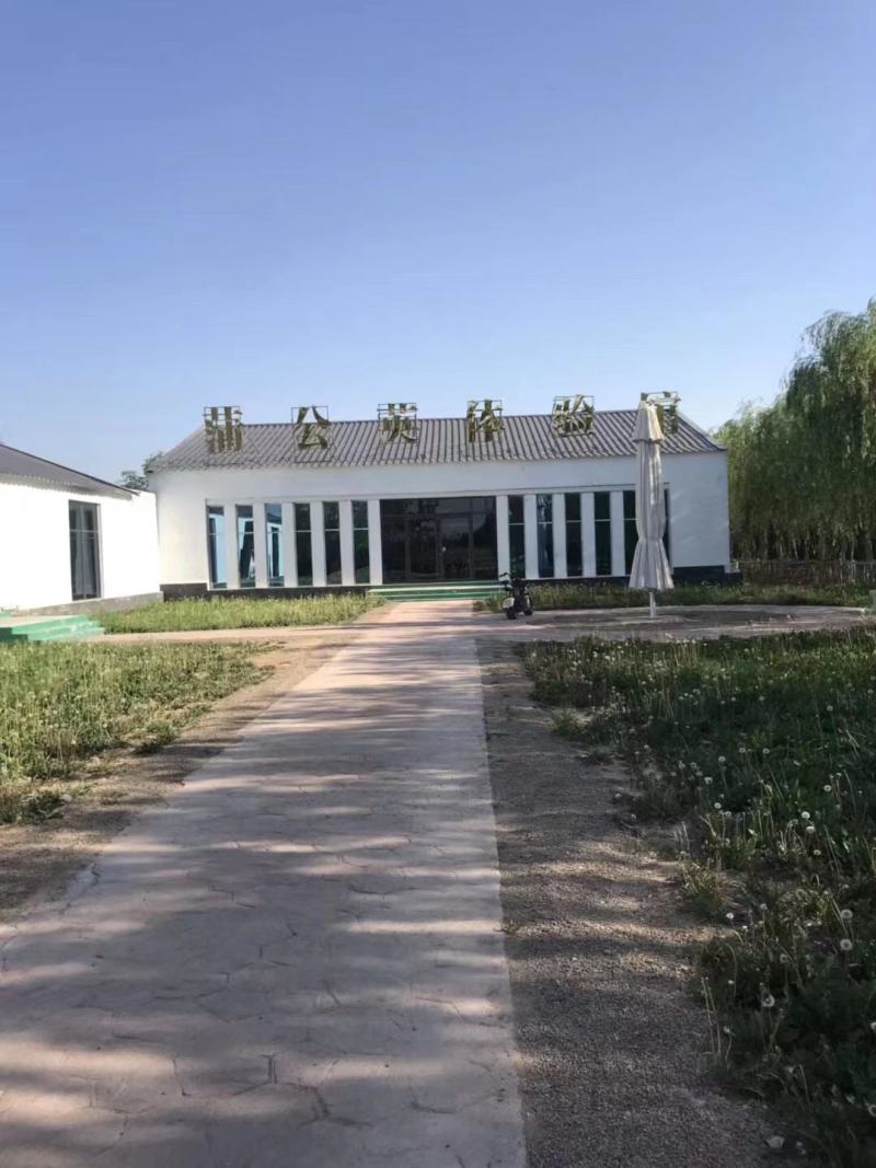 大叶高产多倍体蒲公英亩产万斤以上，种植效益丰厚可加工