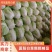 【推荐】河南白菜夏阳白品质保证精品量大从优物美价廉