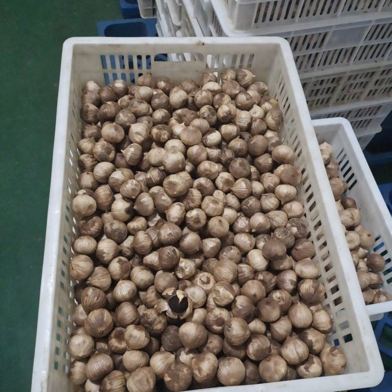 独头黑蒜裂皮黑蒜发酵黑蒜厂家批发价格一件代发