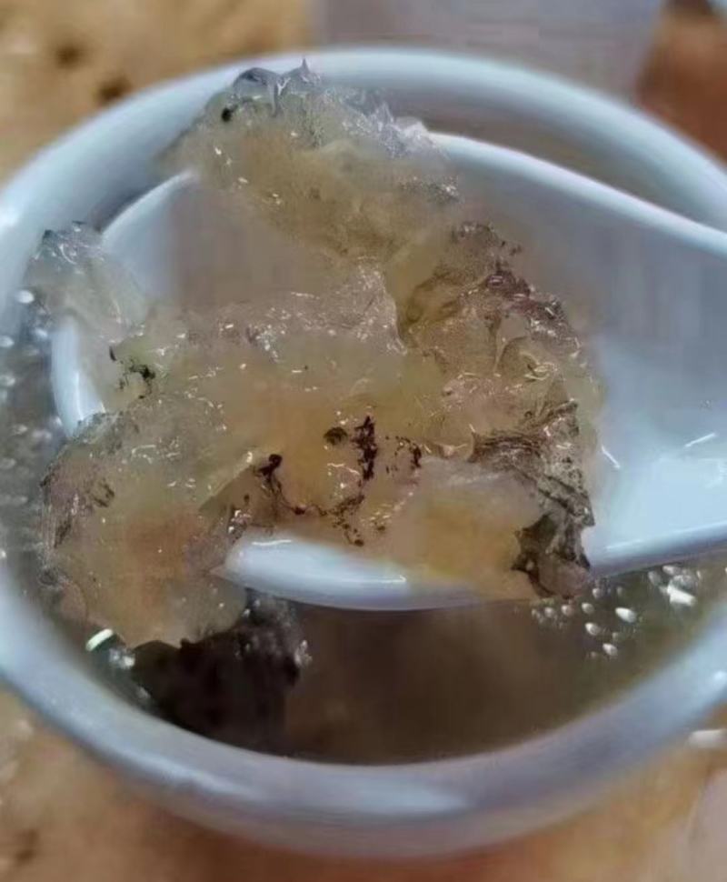 【刺龟皮】也叫刺豚鱼皮大个头干货批发一手货源实惠价
