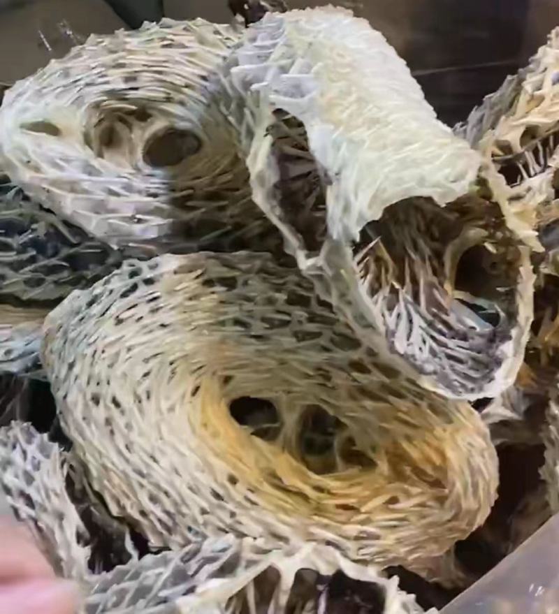 【刺龟皮】也叫刺豚鱼皮大个头干货批发一手货源实惠价