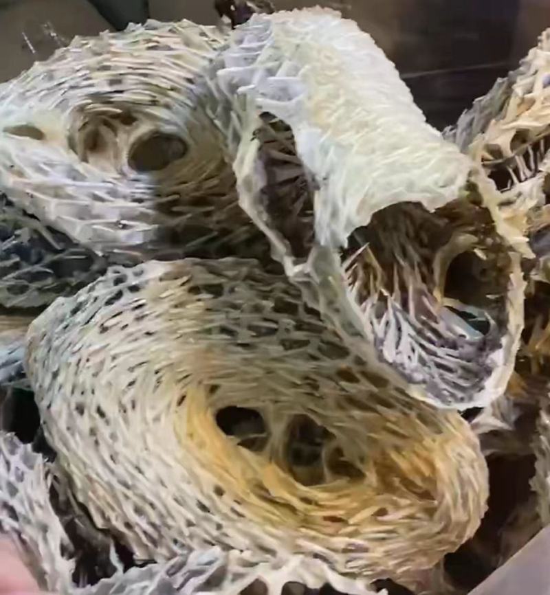 【刺龟皮】也叫刺豚鱼皮大个头干货批发一手货源实惠价