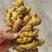 山东生姜优质小黄姜货源充足质量保证全国代发欢迎联系