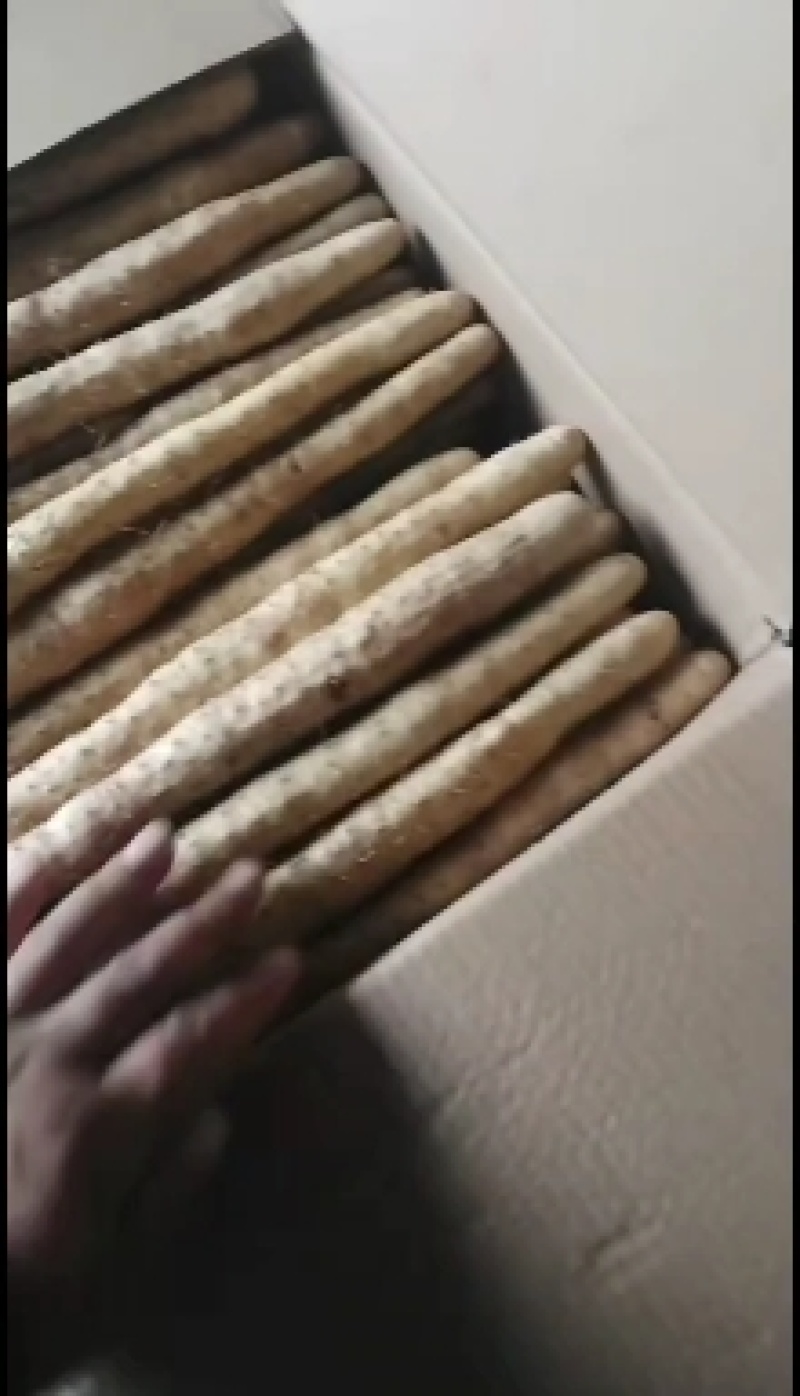 小白嘴双棒产地长年供应小白嘴山药散货箱货精品网袋