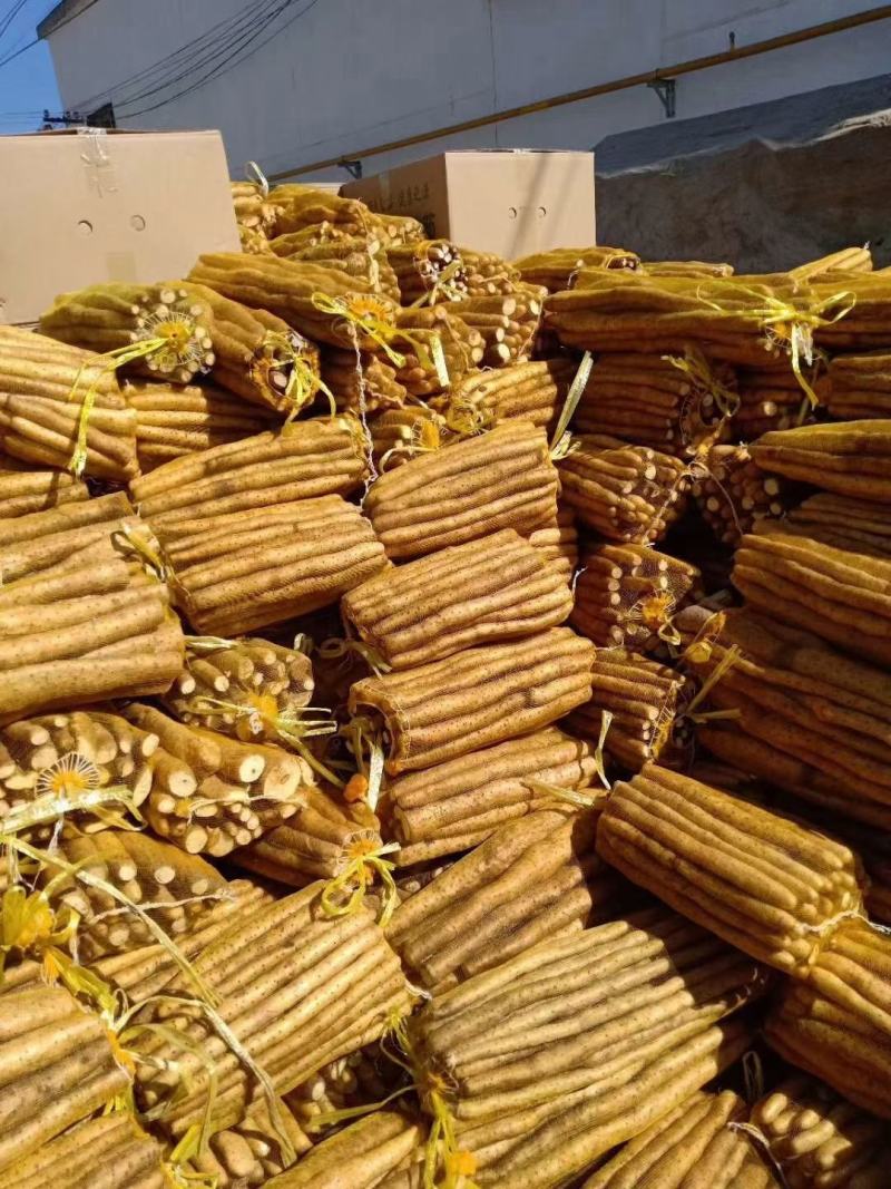 小白嘴双棒产地长年供应小白嘴山药散货箱货精品网袋