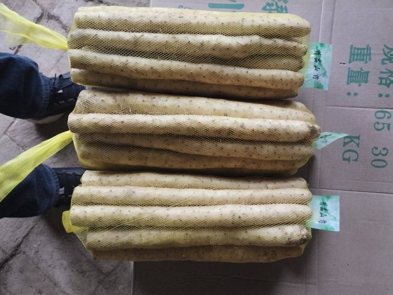 小白嘴双棒产地长年供应小白嘴山药散货箱货精品网袋