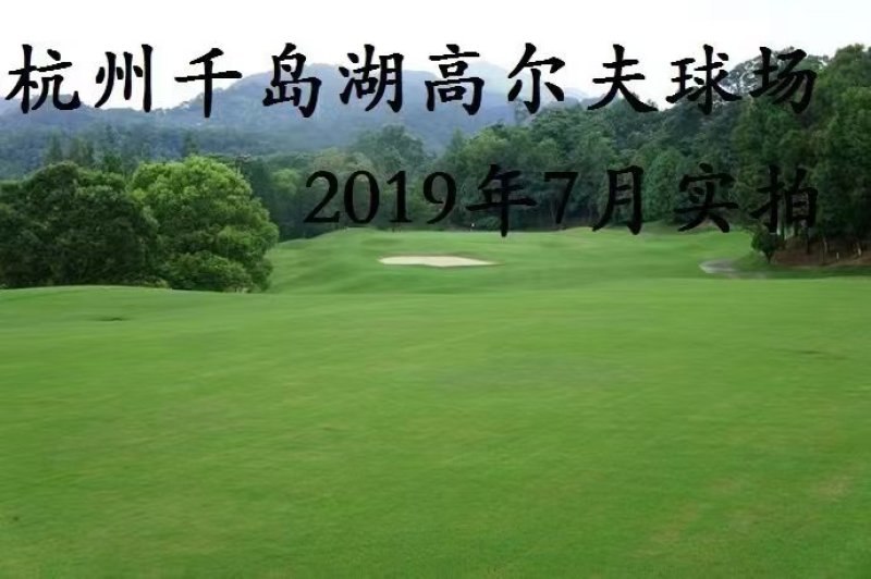 进口草坪种子护坡绿化狗牙根草籽草种子矮生耐践踏免修剪