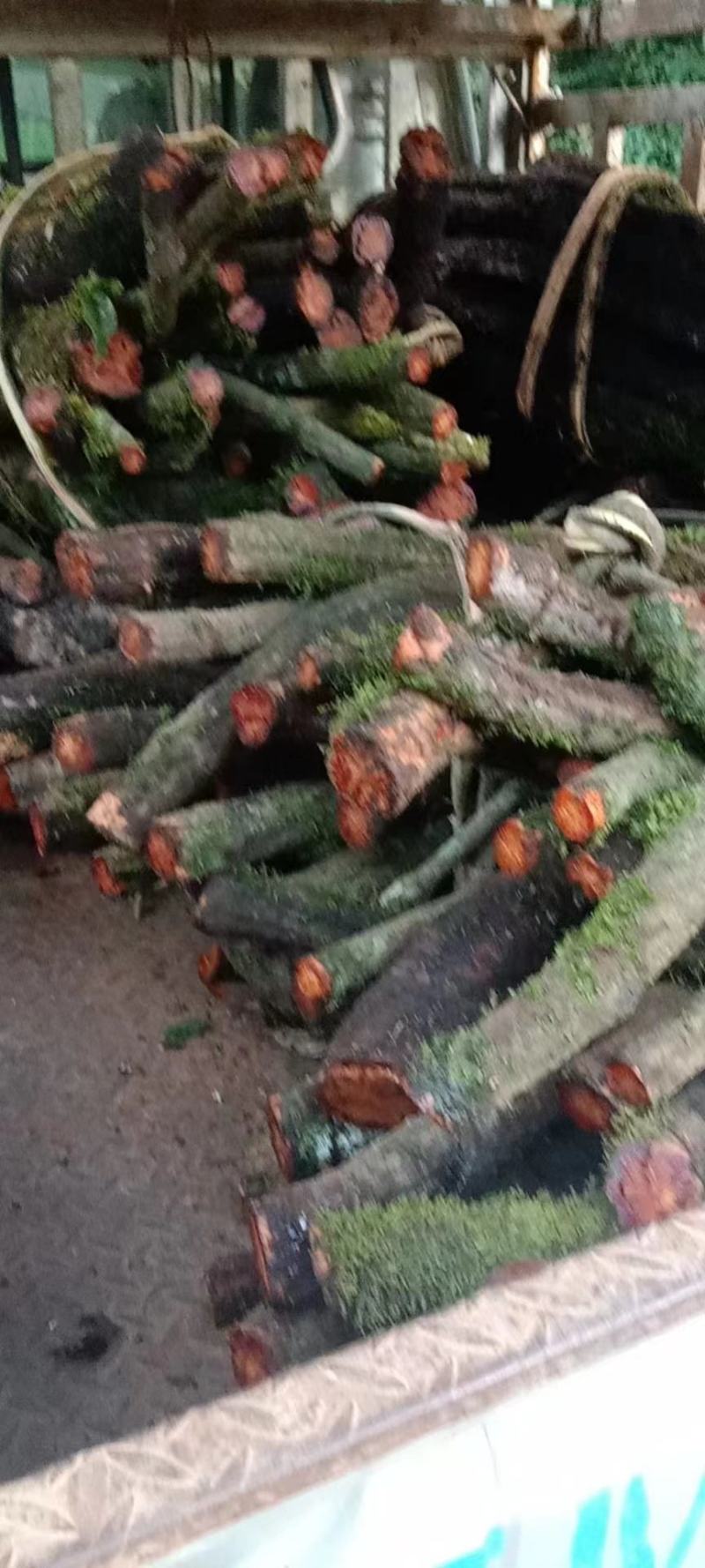 血通，鲜货，好货