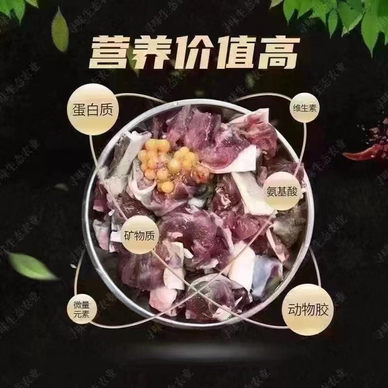 长期有货一手货源新鲜各种甲鱼