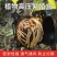 植物高压盒果树花木多功能扦插嫁接家用神器高空压条生根球工
