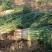 【推荐】万荣长白大葱大量上市产地一手货源欢迎采购
