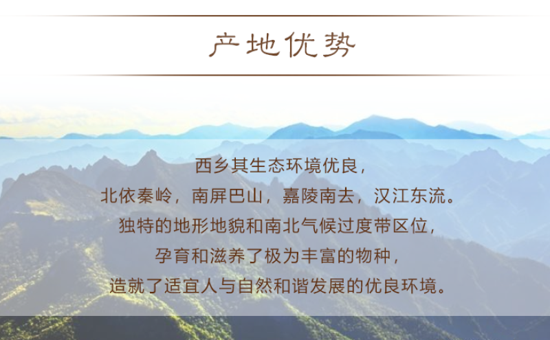 【牛商】陕西汉中诚信经营菌包汤热卖专区欢迎咨询