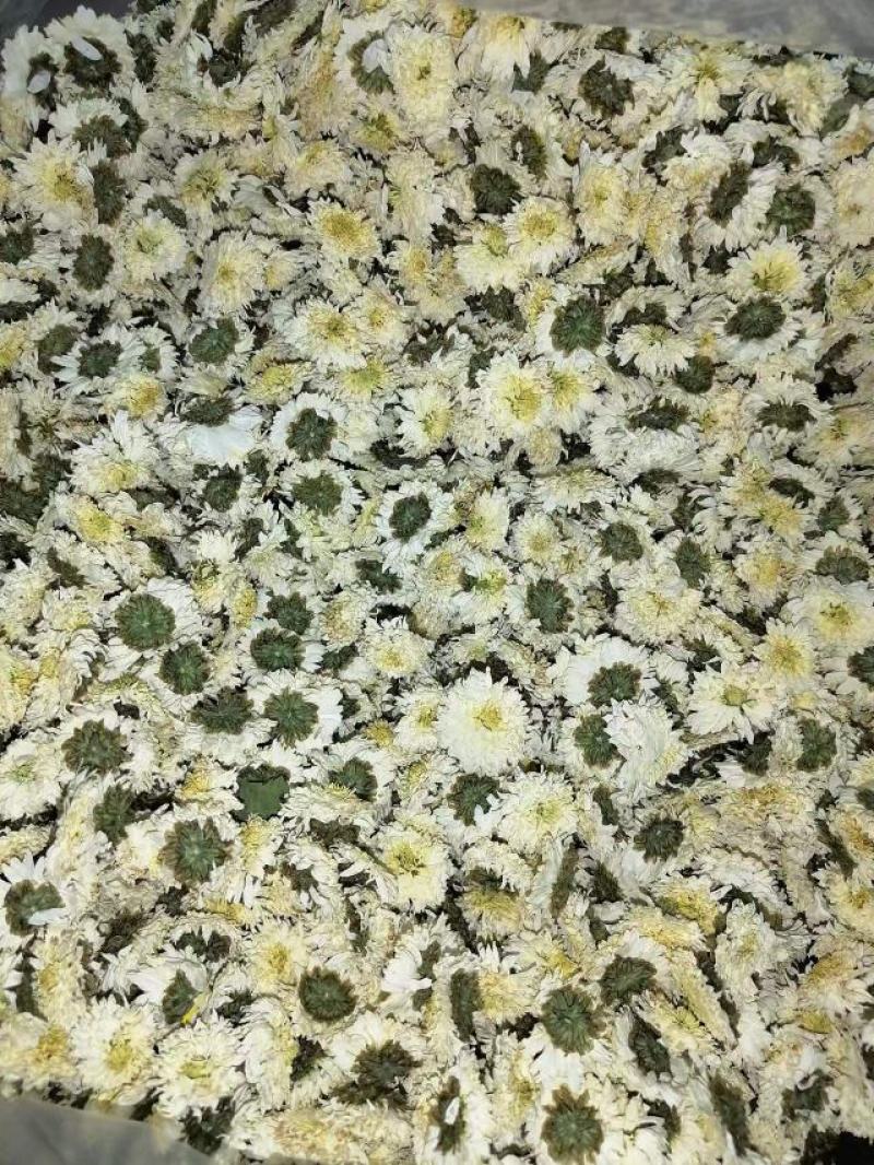 【菊花茶】黄山贡菊花茶（质量保证，货真价实）