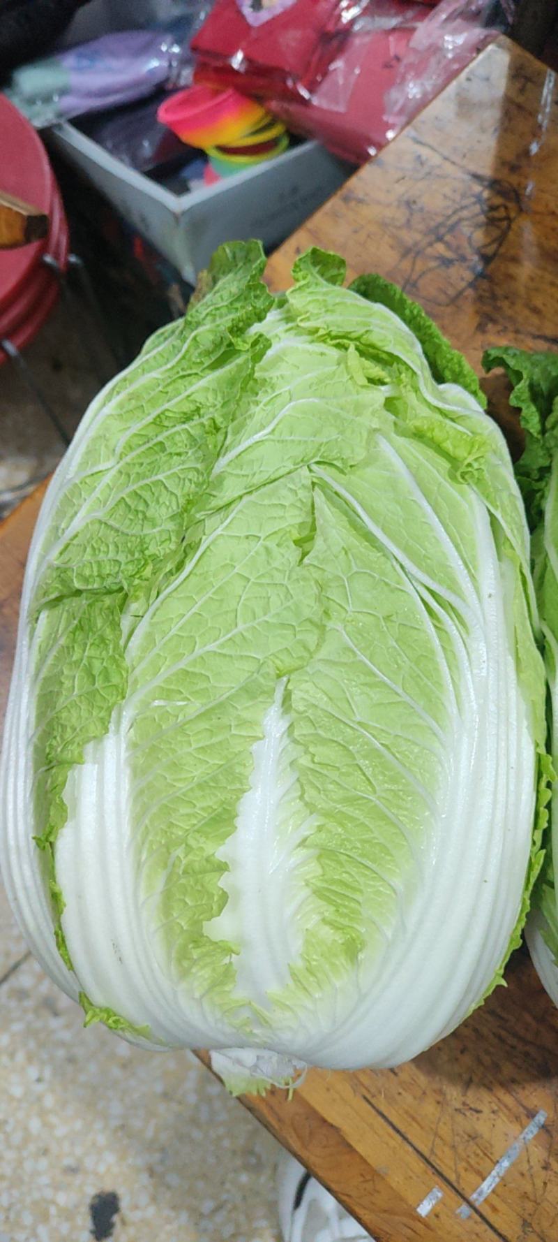 精品中颗黄心大白菜！净菜3-6斤，货源充足，大量供应。