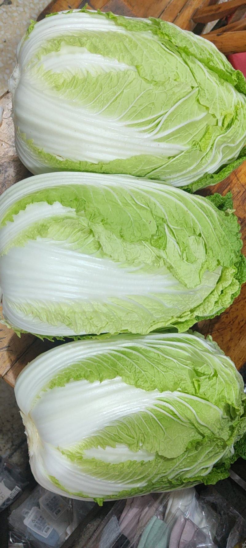 精品中颗黄心大白菜！净菜3-6斤，货源充足，大量供应。