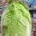 精品中颗黄心大白菜！净菜3-6斤，货源充足，大量供应。