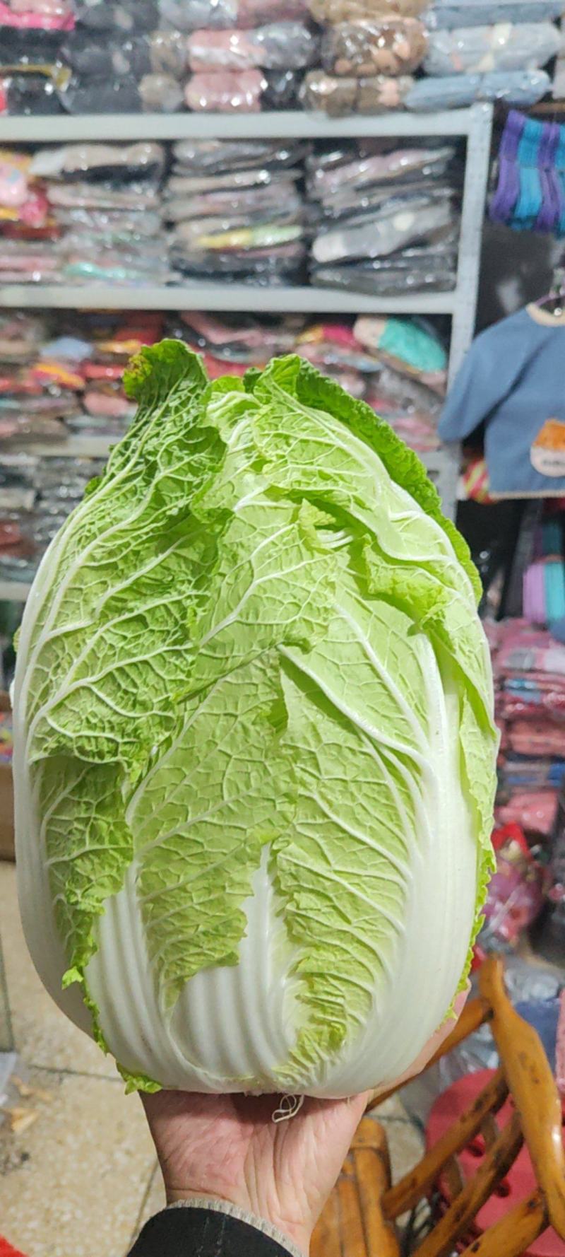 精品中颗黄心大白菜！净菜3-6斤，货源充足，大量供应。