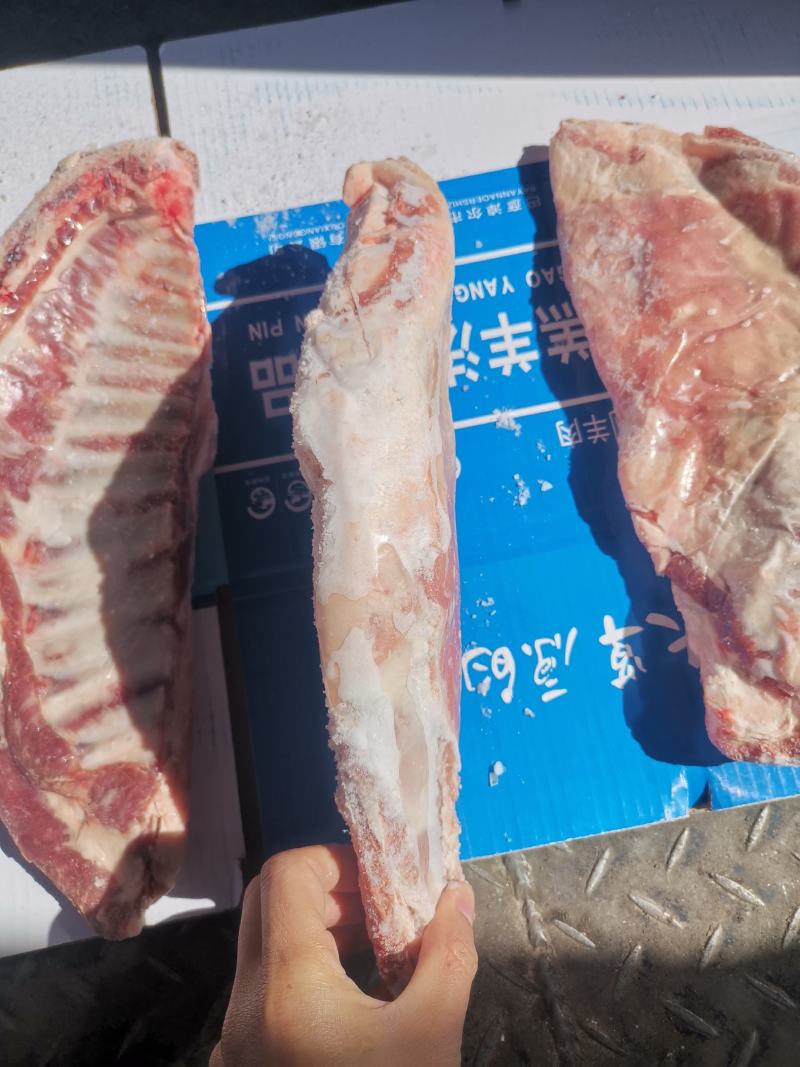 内蒙羔羊肋排\羔羊半排\羔羊全排\羔羊法排\产地直发