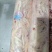 内蒙古锡林郭勒草地羊板筋，一卷5斤，质量很好，串店适合。