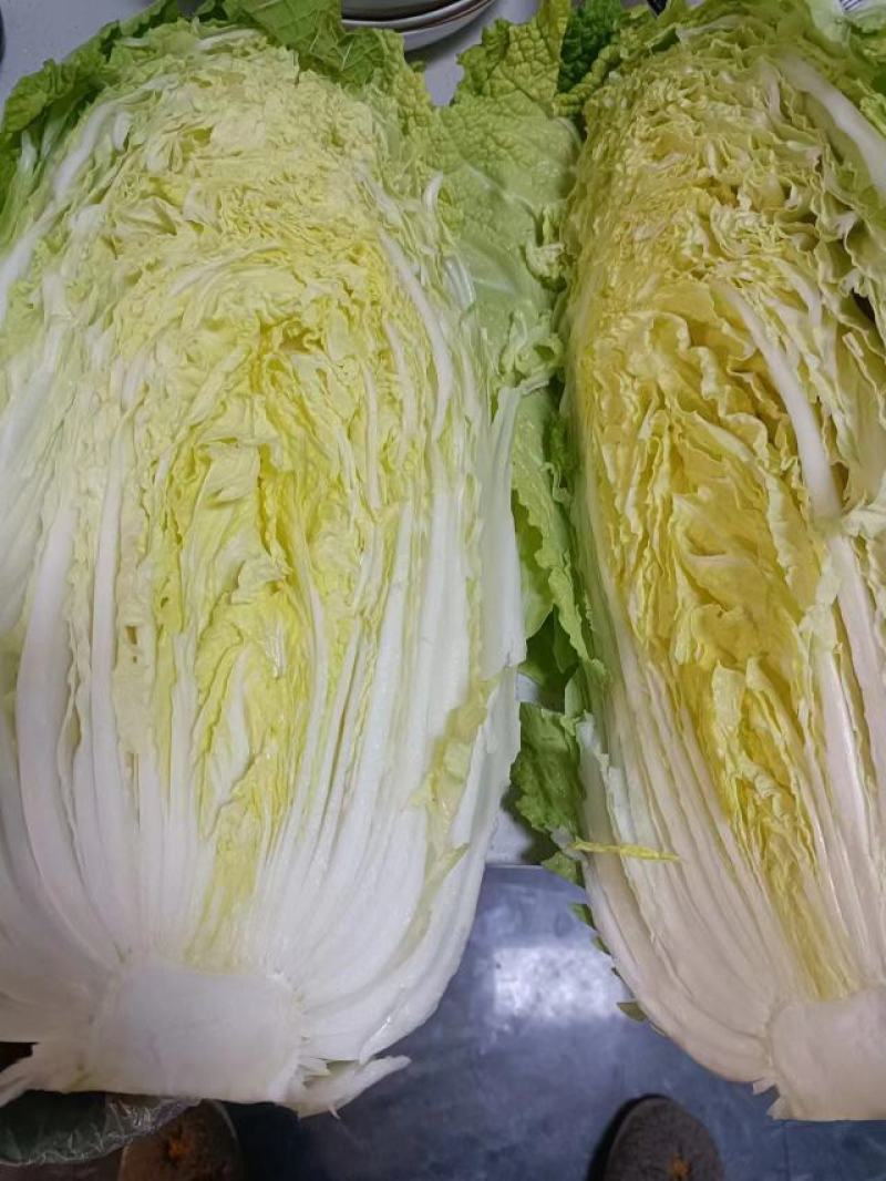优质三红胡萝卜