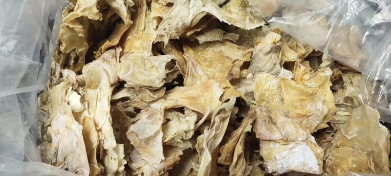 黄山笋衣