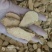 炒山药广山药诚信地道药材质量上乘祥泰药材栈中药批发零售