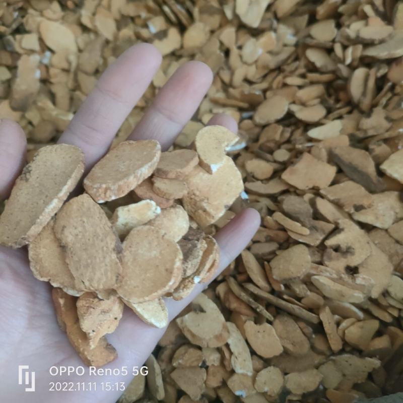 炒山药广山药诚信地道药材质量上乘祥泰药材栈中药批发零售