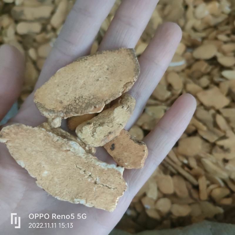 炒山药广山药诚信地道药材质量上乘祥泰药材栈中药批发零售