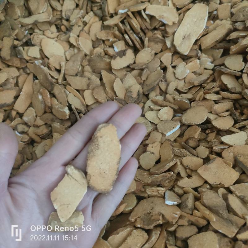 炒山药广山药诚信地道药材质量上乘祥泰药材栈中药批发零售