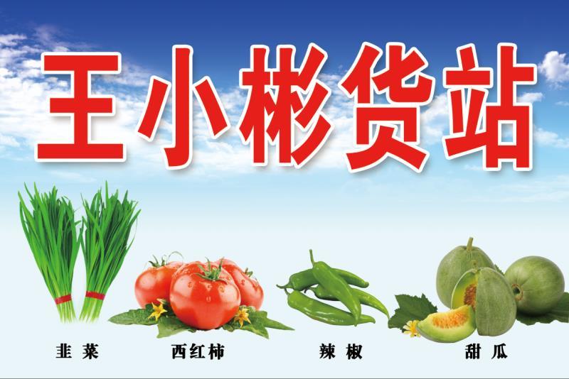 优质韭菜乐亭韭菜，产地发货大量上市货源充足