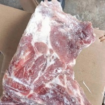 猪胫骨