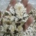【可视频看货】黄山贡菊菊花茶大量供应全国发货