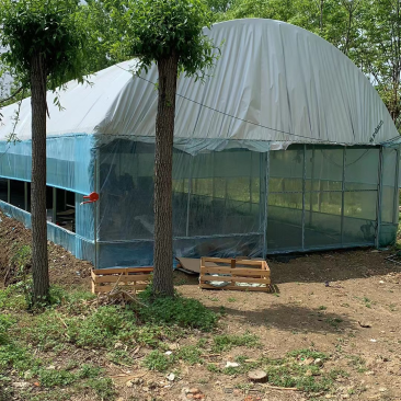 蔬菜大棚种植温室大棚管型齐全全国发货