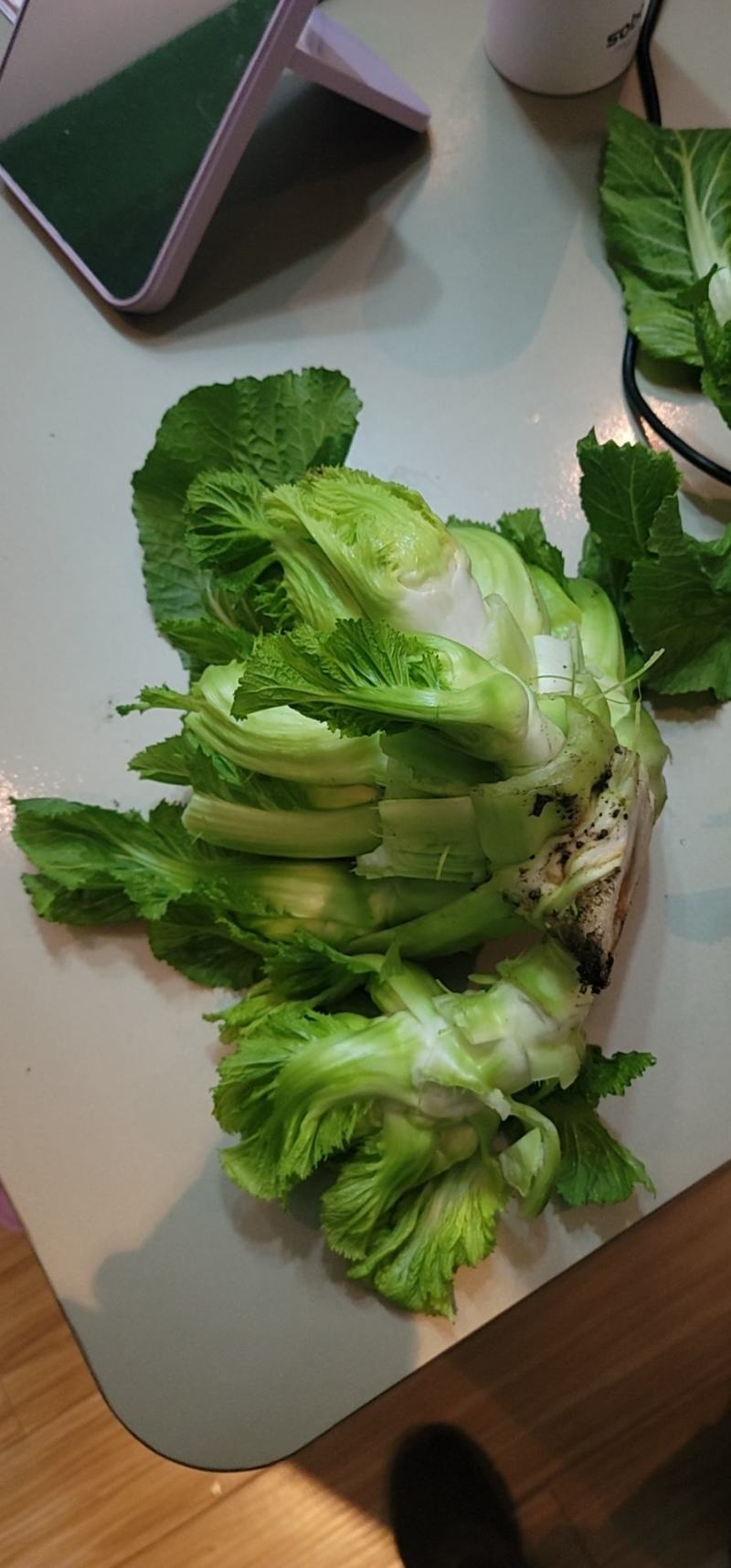 儿菜