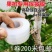 专业PE嫁接膜苗木果树专用膜缠绕膜自粘打包膜免打结透明拉