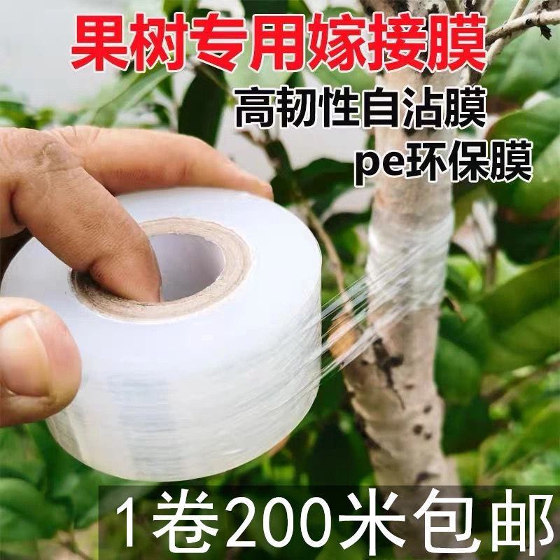 专业PE嫁接膜苗木果树专用膜缠绕膜自粘打包膜免打结透明拉