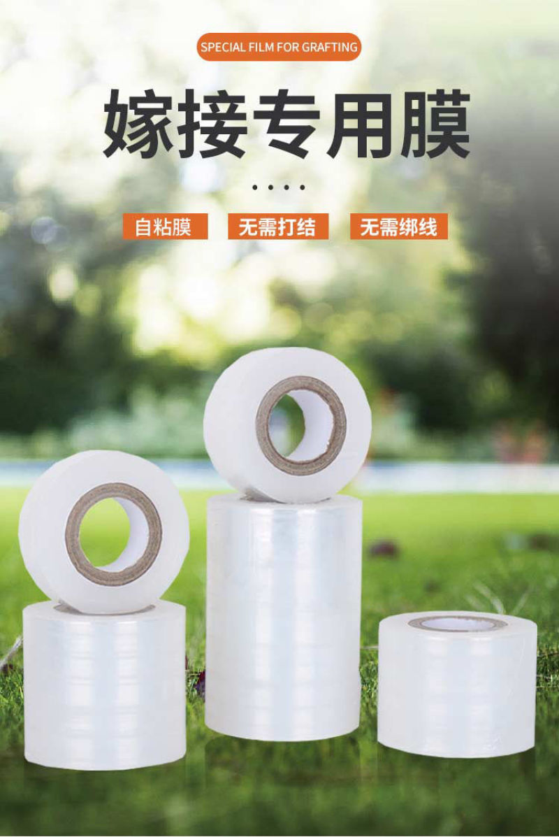 专业PE嫁接膜苗木果树专用膜缠绕膜自粘打包膜免打结透明拉