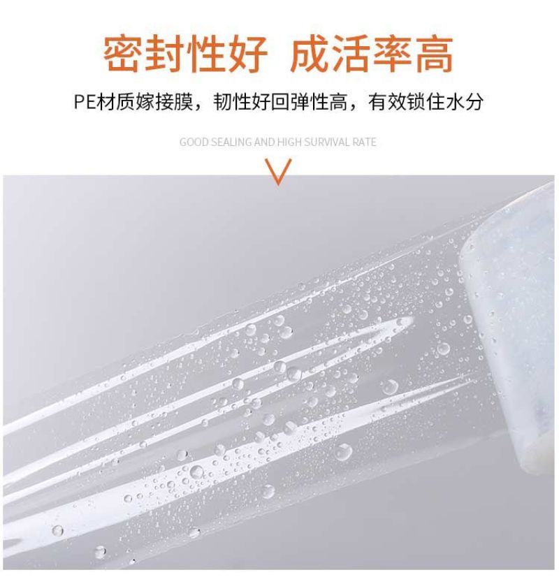 专业PE嫁接膜苗木果树专用膜缠绕膜自粘打包膜免打结透明拉